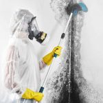 Memphis Mold Removal